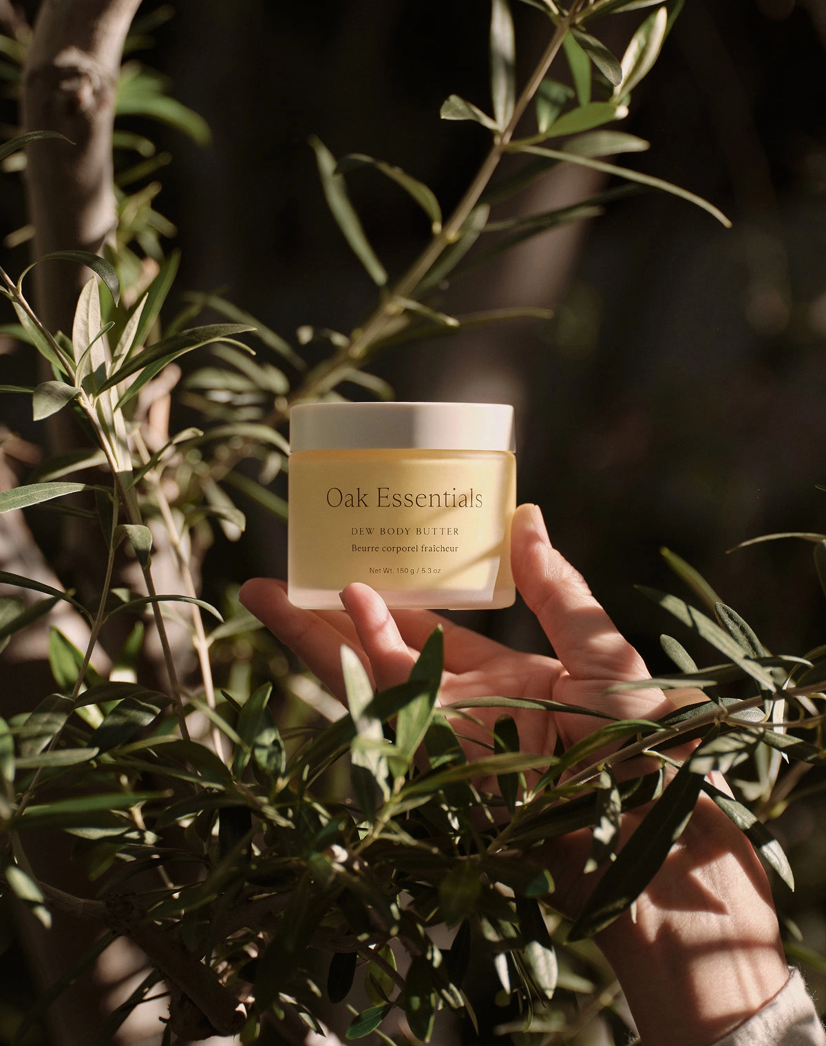A hand holding a small jar of balm in front of olive branches